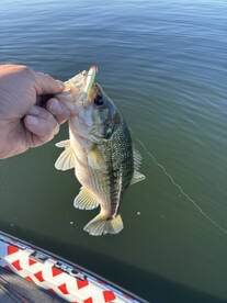 Great Table Rock Trip 