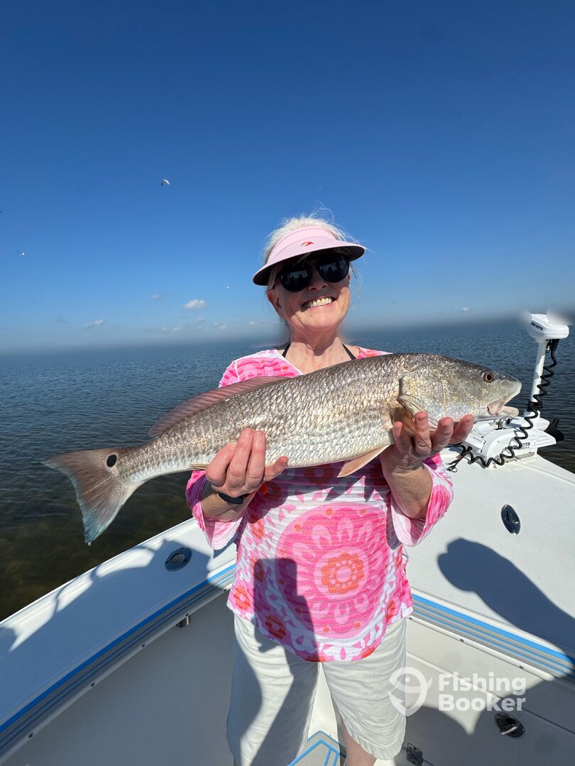 Boca Grande Report Photo 0