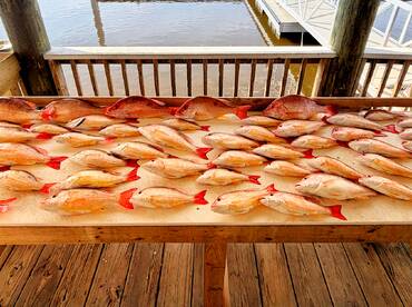 Volusia County Report Photo 4