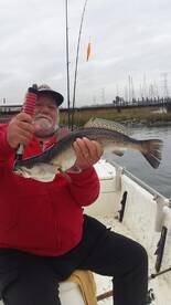 Reel in the memories