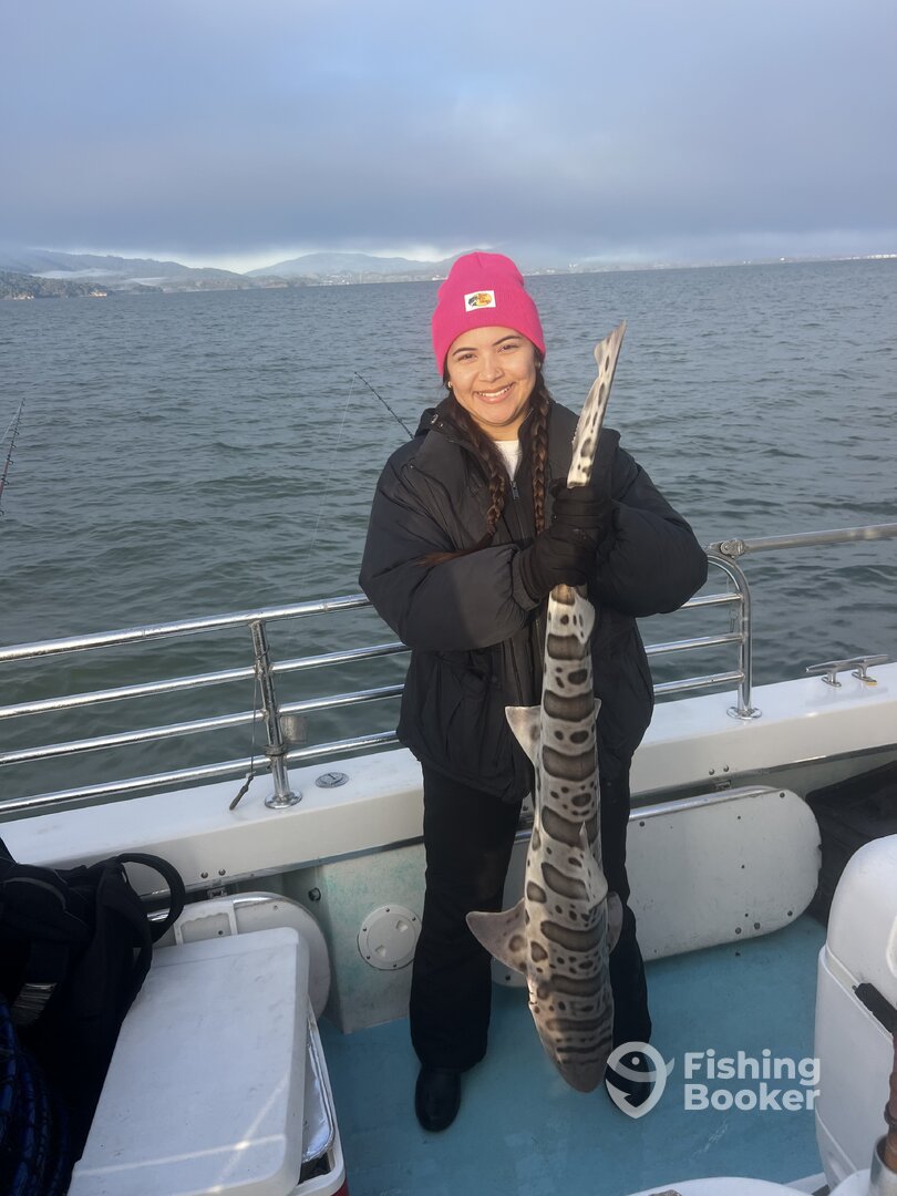 San Francisco Report Photo 0