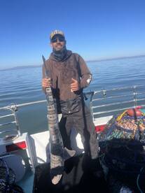 San Francisco Report Photo 2