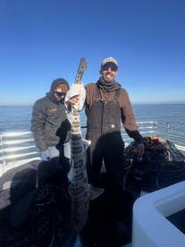 San Francisco Report Photo 1