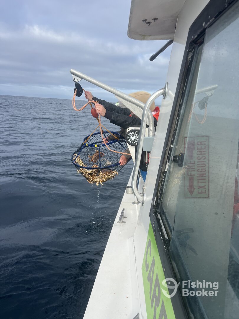 San Francisco Report Photo 0