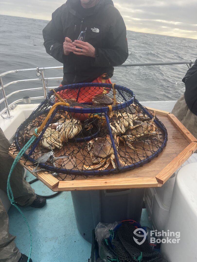 San Pablo Bay Report Photo 0