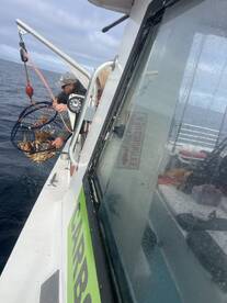 San Pablo Bay Report Photo 2