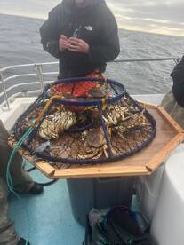 San Francisco Report Photo 2