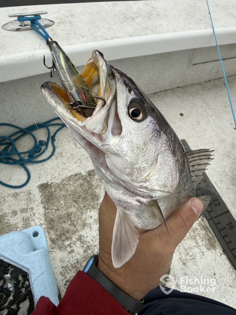 River Road Report Photo 0