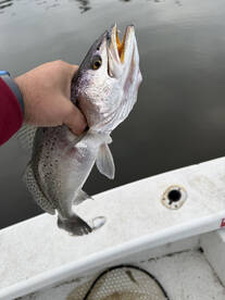 River Road Report Photo 3