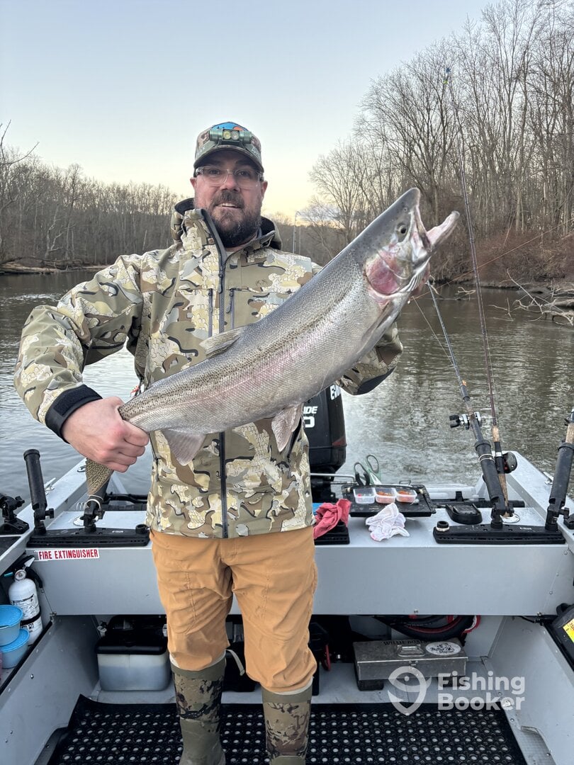 Big Steelhead 3