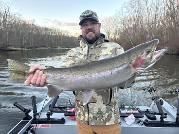 Big Steelhead 1.