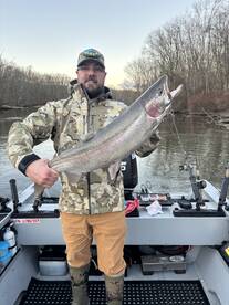 Big Steelhead 3