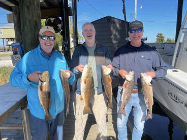 St. Bernard Report Photo 1