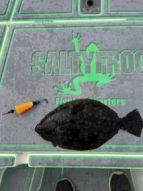 St. Bernard Report Photo 2