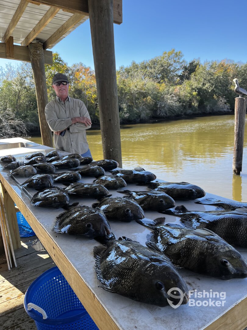 St. Bernard Report Photo 0