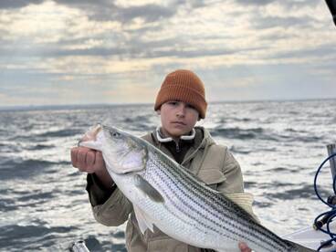 New York City Report Photo 2