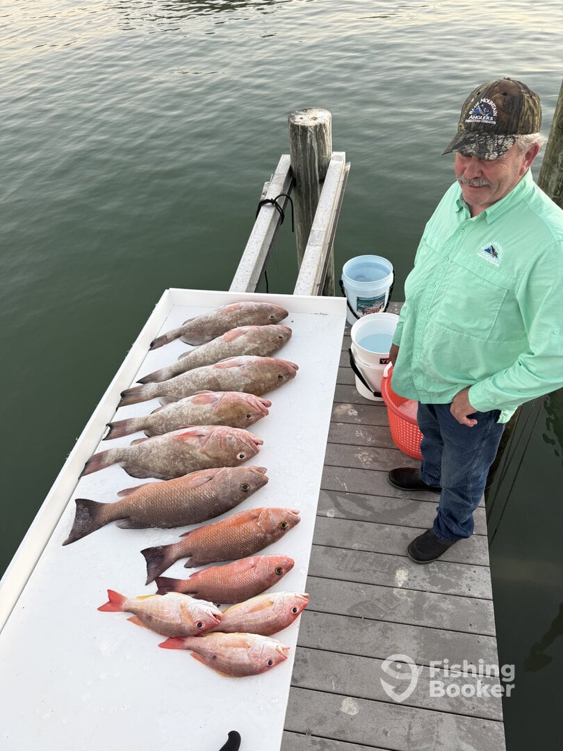 Madeira Beach Report Photo 0