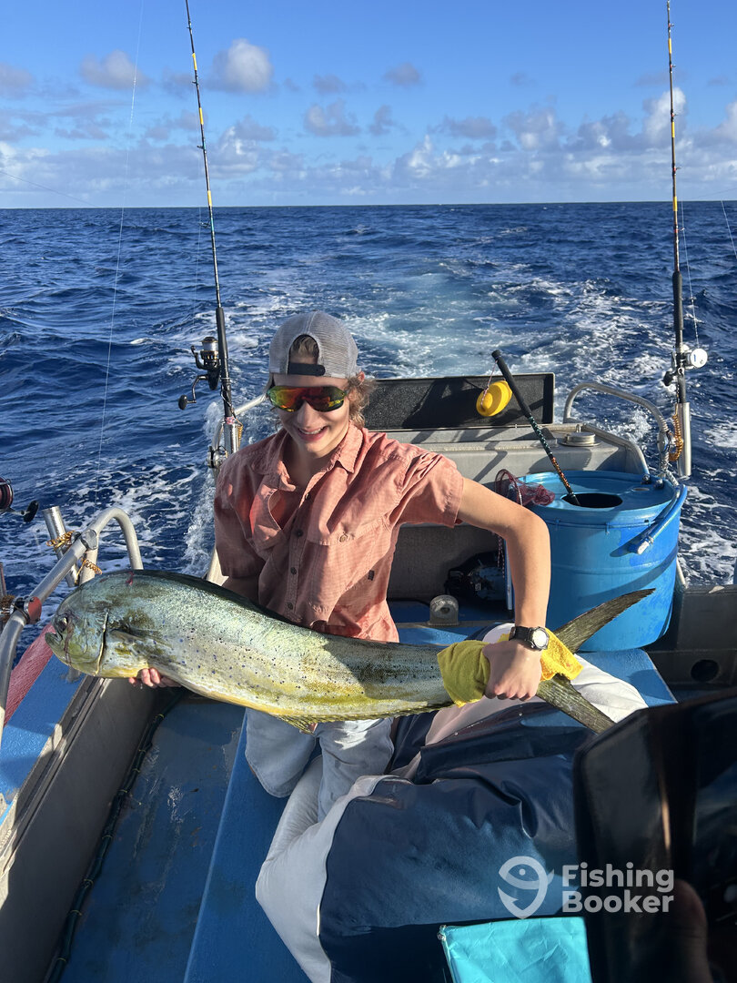 Haleiwa Report Photo 0