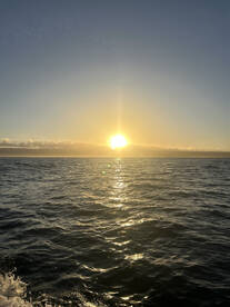 Haleiwa Report Photo 1