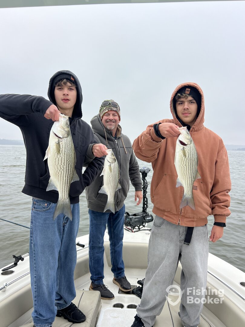 Morrison Report Photo 0