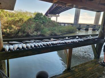 Jefferson Parish Report Photo 4