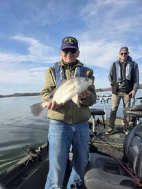 Harrison Report Photo 1