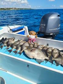 Playa Del Carmen Report Photo 2