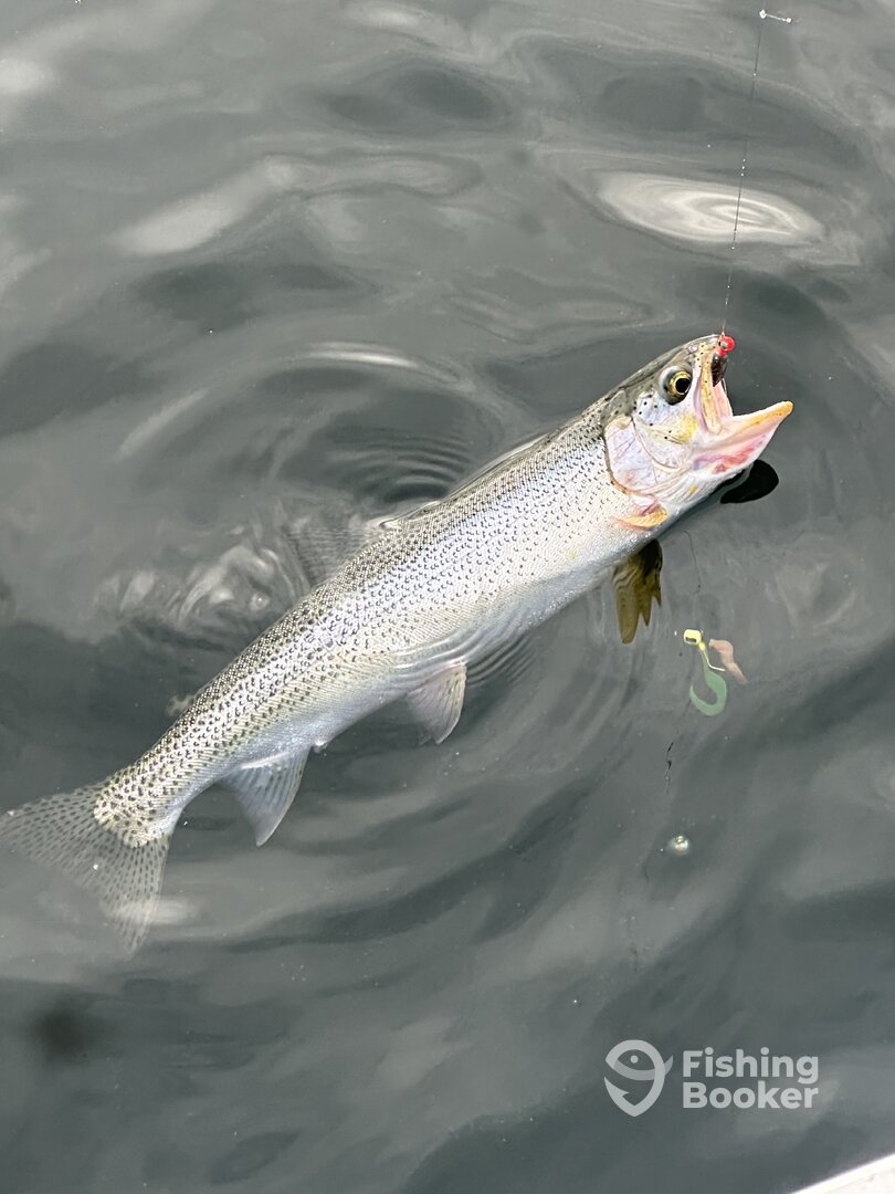 Lake Stevens Report Photo 0