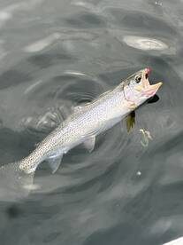 A blast rain or shine