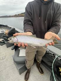 Lake Stevens Report Photo 1