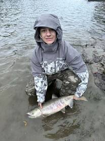 Lake Stevens Report Photo 1