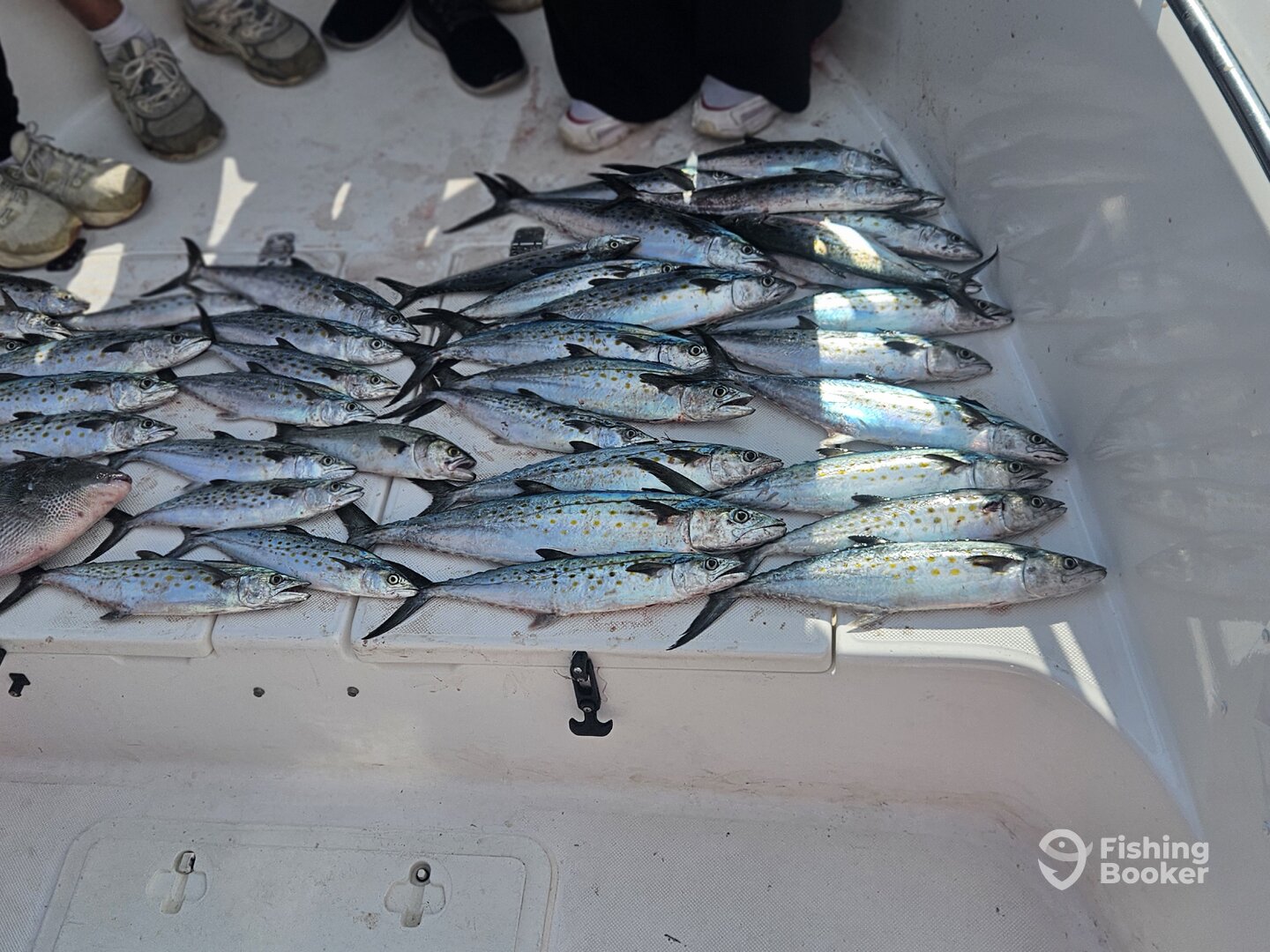 Panama City Report Photo 0