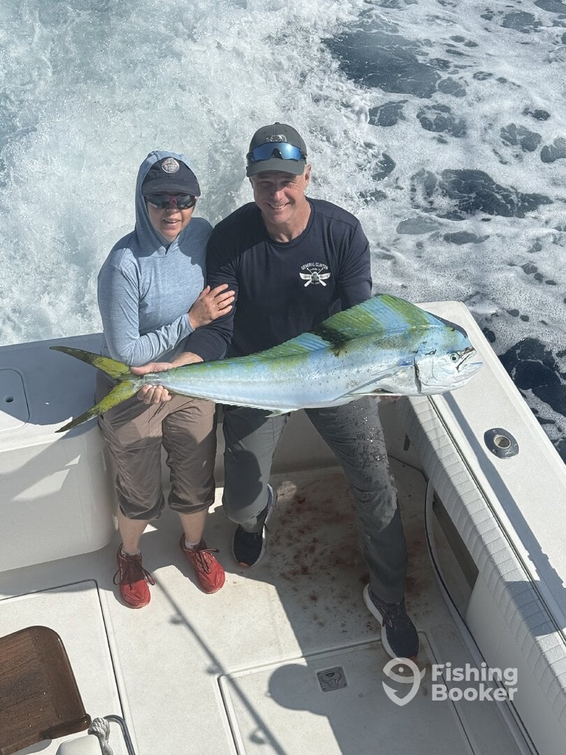 Hawaii Report Photo 0