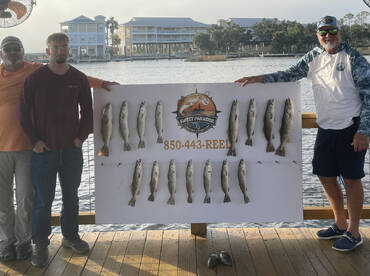 Awesome Scouting Day