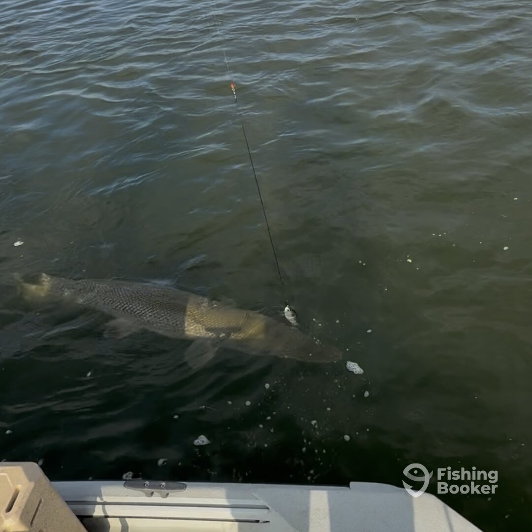 West Livingston Report Photo 0