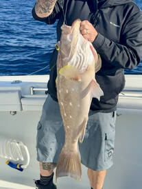 Englewood Report Photo 1