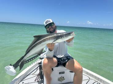 Sight fishing cobia off the beach 