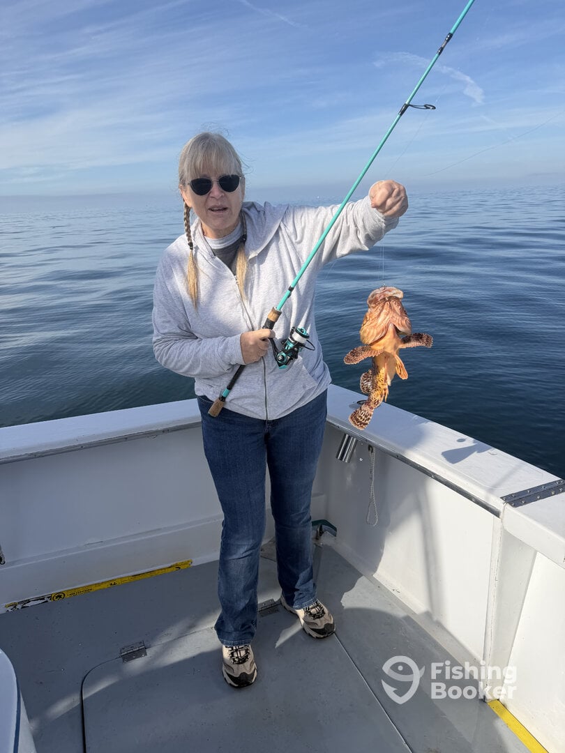 Oceanside Report Photo 0