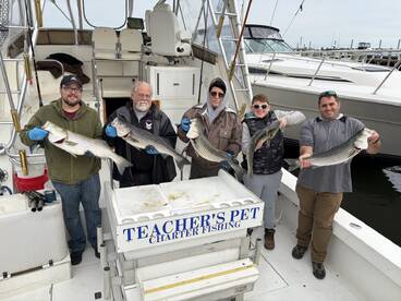 Highlands Report Photo 2