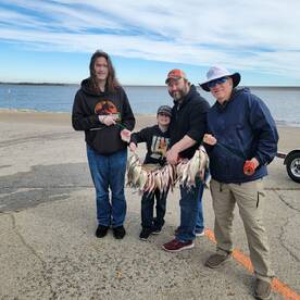 Grapevine Report Photo 2