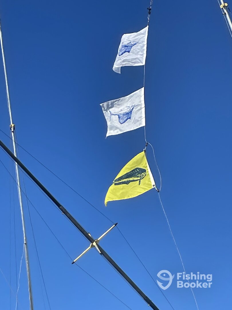 Key West Report Photo 0