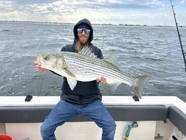 Slow morning fast one hours blitz 