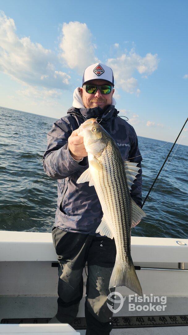 Washington DC Report Photo 0