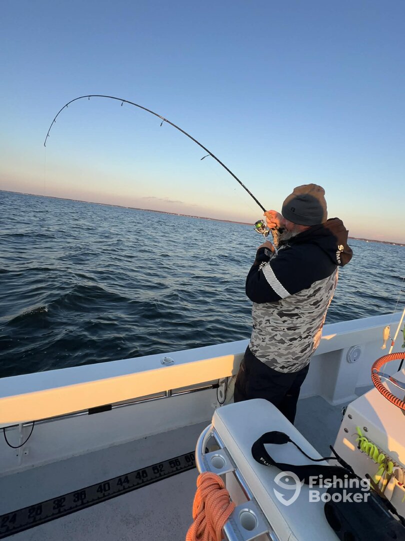 Chesapeake Bay Report Photo 0