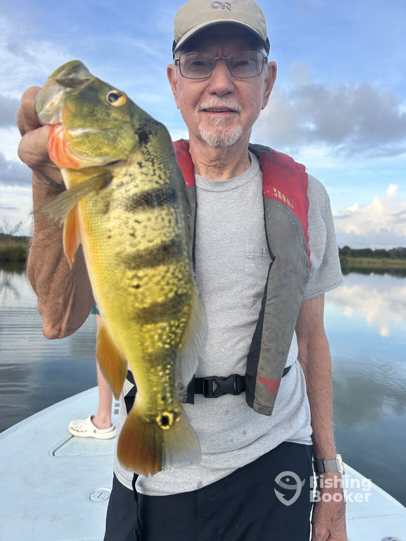 Toa Alta Report Photo 0