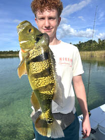 Toa Alta Report Photo 1