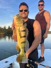 Toa Alta Report Photo 1