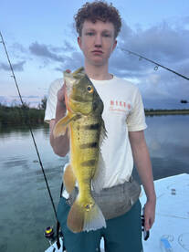 Toa Alta Report Photo 2