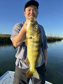 Carolina Report Photo 2