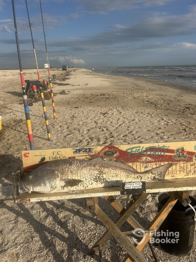 Cameron Parish Report Photo 0